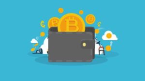 ¿Cómo proteger tus criptomonedas? las mejores carteras para Bitcoin y Criptomonedas